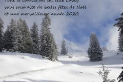 Martinaux-voeux-2020-avec-texte